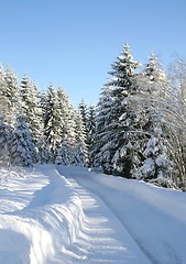 Image showing Winter road