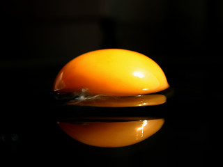 Image showing Egg [4]