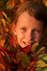 Image showing Autumnal portrait