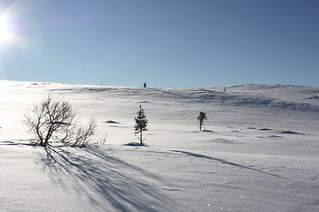 Image showing Winterlandscape