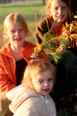 Image showing Autumnal walk