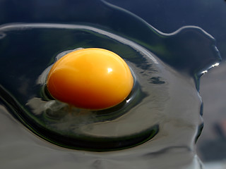 Image showing Egg [3]