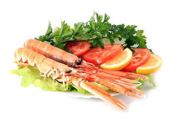 Image showing Norway lobster