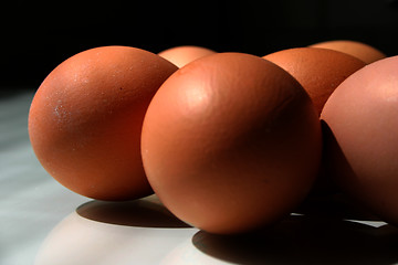 Image showing Eggs