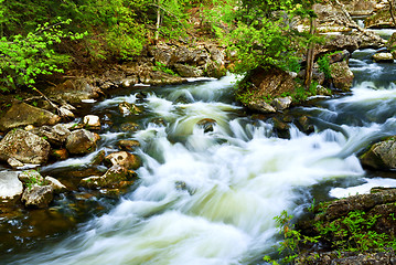 Image showing River through woods