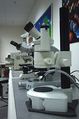 Image showing Microscopes in the lab