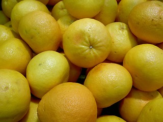 Image showing grapefruit