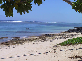 Image showing Beach