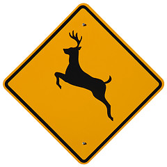 Image showing Deer Crossing