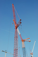 Image showing Cranes