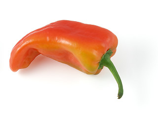 Image showing Pepper