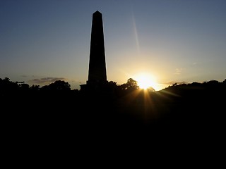 Image showing Wellington Monument