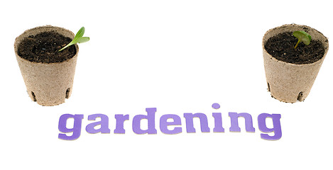 Image showing Gardening Concept