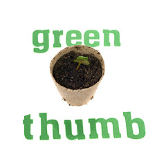 Image showing Green Thumb