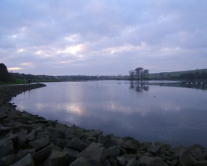 Image showing Loch Stewartfield