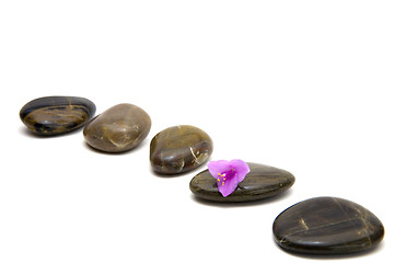 Image showing zen stones with flower isolated.