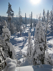 Image showing beautiful cold winter day