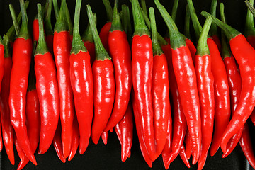 Image showing Red chilli peppers.