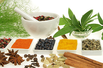 Image showing Spices and herbs.