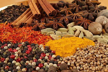 Image showing Spices.