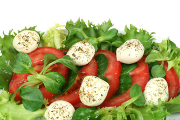 Image showing Healthy salad