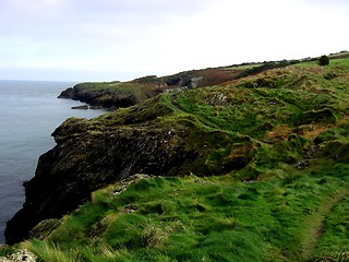 Image showing Irish Coast