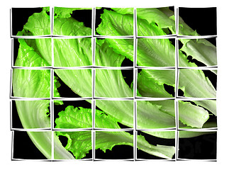 Image showing lettuce leaves collage