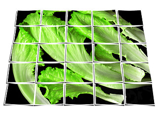 Image showing lettuce leaves collage