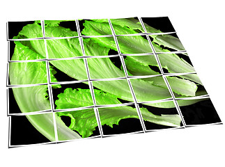 Image showing lettuce leaves collage