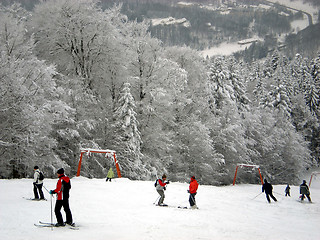 Image showing Skiers on sloap