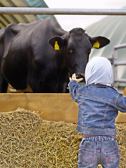 Image showing girl with no fear