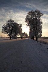 Image showing Winter scene