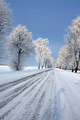 Image showing Winter scene