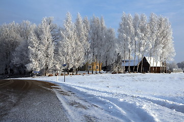 Image showing Road in snow