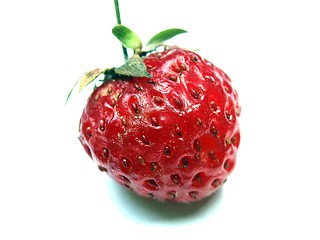 Image showing strawberry