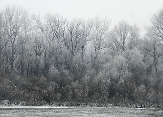 Image showing Winter landscape