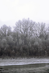 Image showing Winter landscape