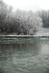 Image showing Winter landscape