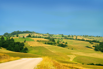 Image showing Rural landscape