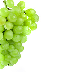 Image showing green grapes