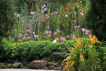 Image showing Botanical garden in Singapore