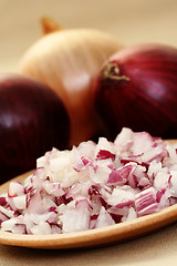 Image showing onion