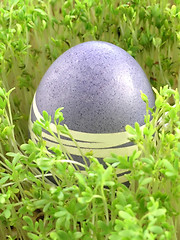 Image showing Easter Eggs