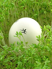 Image showing Easter Eggs