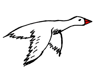 Image showing goose