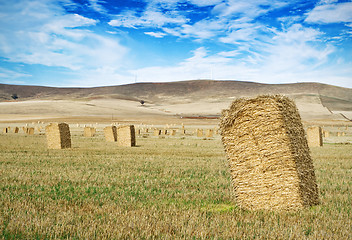 Image showing farm strawbale landscape