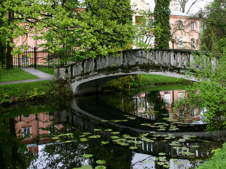 Image showing A bridge in the park