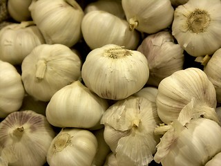 Image showing garlic