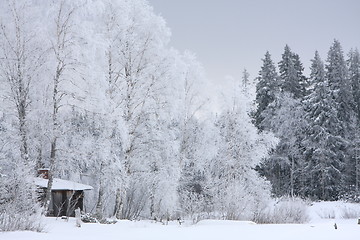 Image showing House in winter