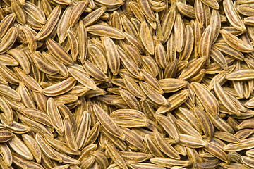 Image showing Caraway Seeds